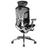 Компьютерные кресла Премиум эргономичное кресло GT Chair Dvary Pro X, чёрный