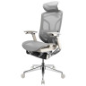 Компьютерные кресла Премиум эргономичное кресло GT Chair Dvary Pro X, серый