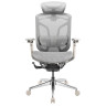 Компьютерные кресла Премиум эргономичное кресло GT Chair Dvary Pro X, серый
