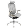 Компьютерные кресла Премиум эргономичное кресло GT Chair Dvary Pro X, серый