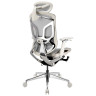 Компьютерные кресла Премиум эргономичное кресло GT Chair Dvary Pro X, серый