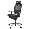Компьютерные кресла Премиум эргономичное кресло GT Chair Marrit Pro X, черный