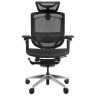 Компьютерные кресла Премиум эргономичное кресло GT Chair Marrit Pro X, черный