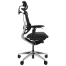 Компьютерные кресла Премиум эргономичное кресло GT Chair Marrit Pro X, черный