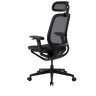 Компьютерные кресла Премиум эргономичное кресло GT Chair NEOSEAT X, черный