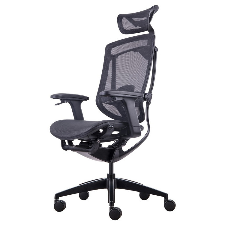 Компьютерные кресла Премиум эргономичное кресло GT Chair Marrit X, черный