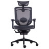 Компьютерные кресла Премиум эргономичное кресло GT Chair Marrit X, черный