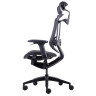 Компьютерные кресла Премиум эргономичное кресло GT Chair Marrit X, черный